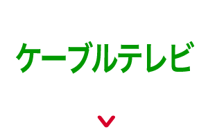 ケーブルテレビで視聴する