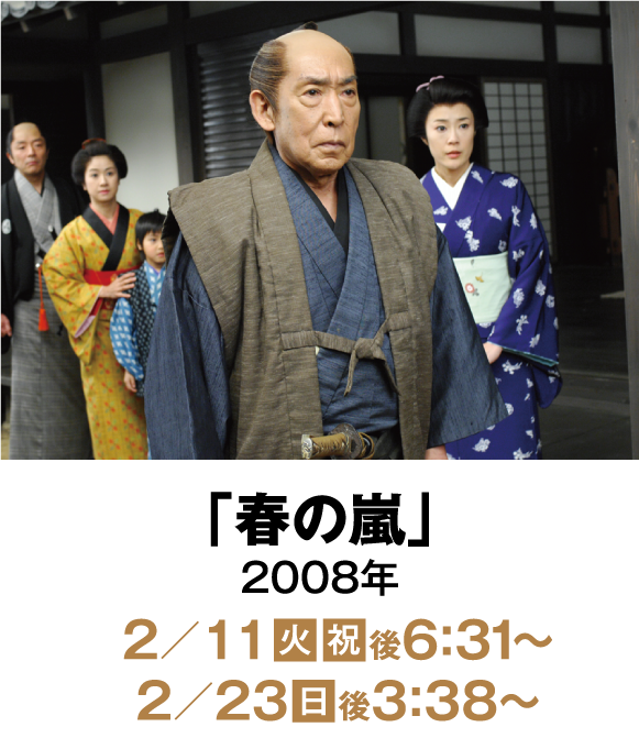 「春の嵐」2008年 | 「没後15年 藤田まこと特集」特設サイト｜ホームドラマチャンネル