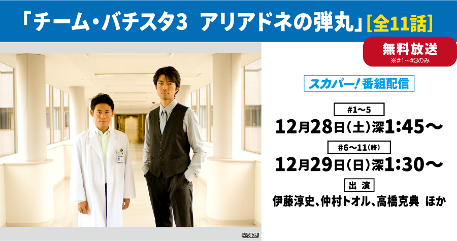 「チーム・バチスタ3 アリアドネの弾丸」［全11話］ | 「年末年始イッキに見せます！7days」｜ホームドラマチャンネル