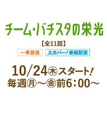 チーム・バチスタの栄光 | 「人気俳優出演ドラマ一挙見SP」特設サイト｜ホームドラマチャンネル