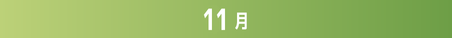 2024年11月 | ホームドラマチャンネル