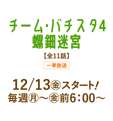 チーム・バチスタ4　螺鈿迷宮 | 「人気俳優出演ドラマ一挙見SP」特設サイト｜ホームドラマチャンネル