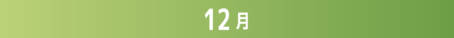 2024年12月 | ホームドラマチャンネル